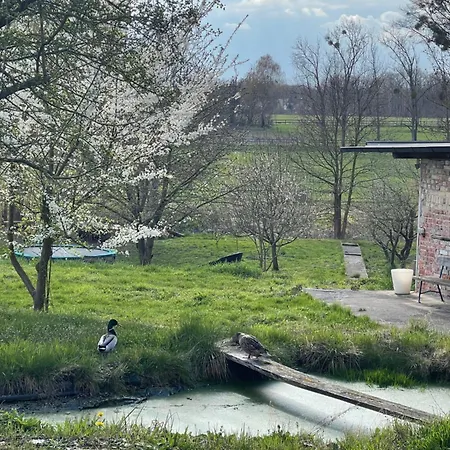 Idyllisches Mit Gartenzugang * Taucha
